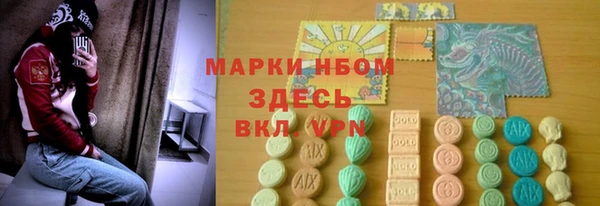 молекула духа Новокубанск
